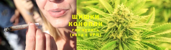 гашик Верея
