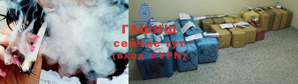 гашик Верея