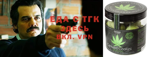гашик Верея