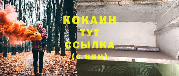 гашик Верея