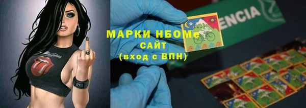 гашик Верея