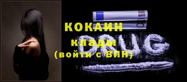 гашик Верея