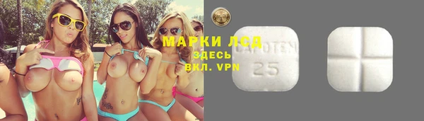 гашик Верея
