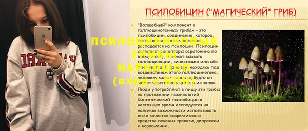первитин Богородск
