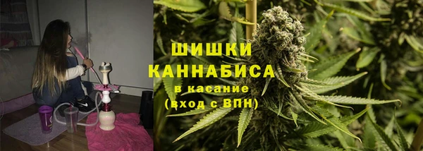 гашик Верея