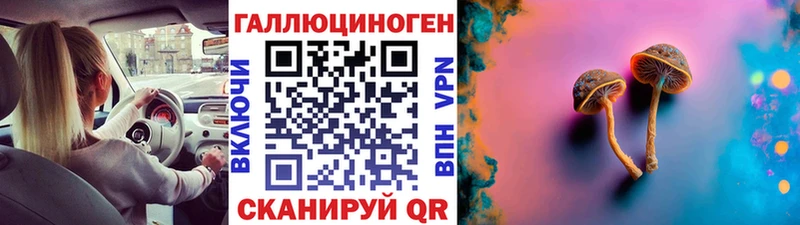 Галлюциногенные грибы MAGIC MUSHROOMS  Ершов 
